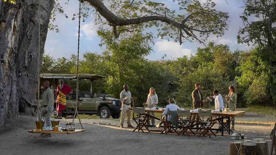 Guests standing with drinks around long tables laid for brunch in the shade of a baobab, a game drive vehicle parked behind them
