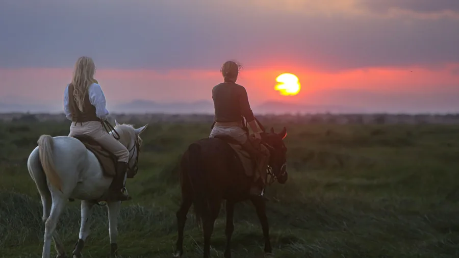 Two riders on a white and a bay horse stopped side by side on open grassland, watching the sun go down
