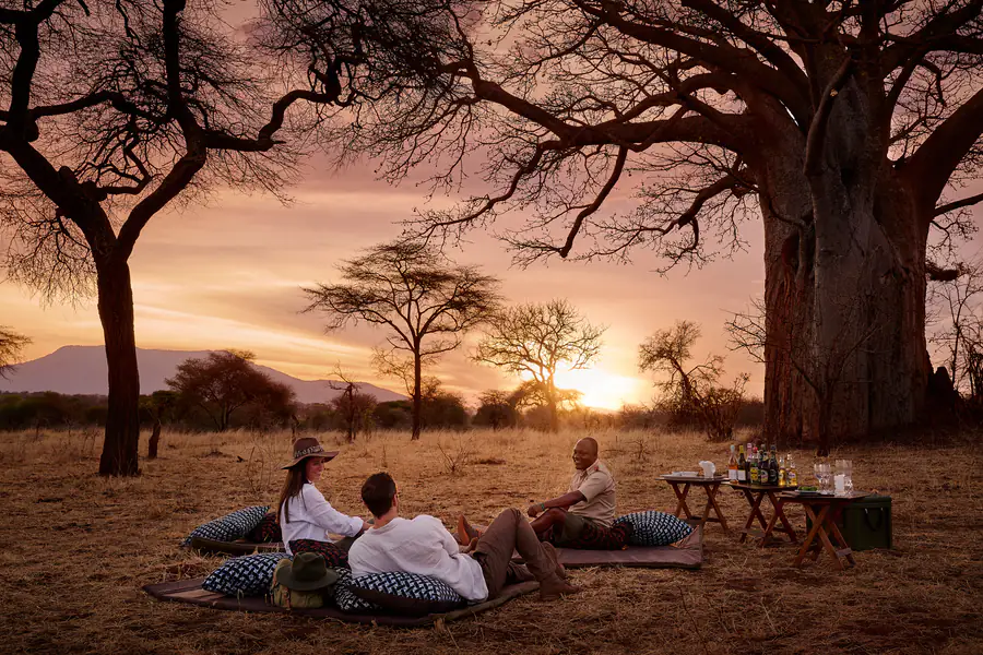 Guests on cushions and rugs beneath a great baobab, drinks laid out on a camp table as the sky turns orange