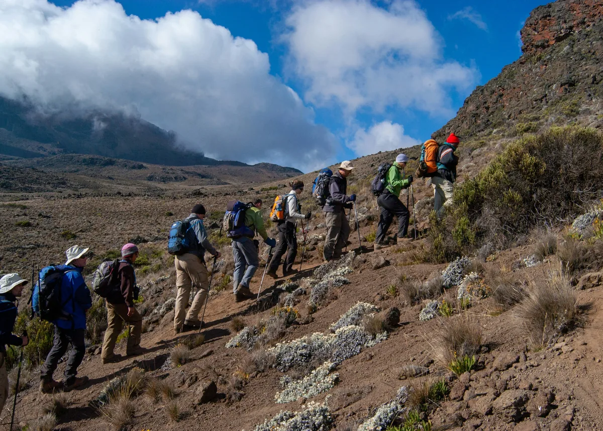 A line of trekkers with poles and packs climbing a heathland traverse on Kilimanjaro, cloud banked against the ridge behind them