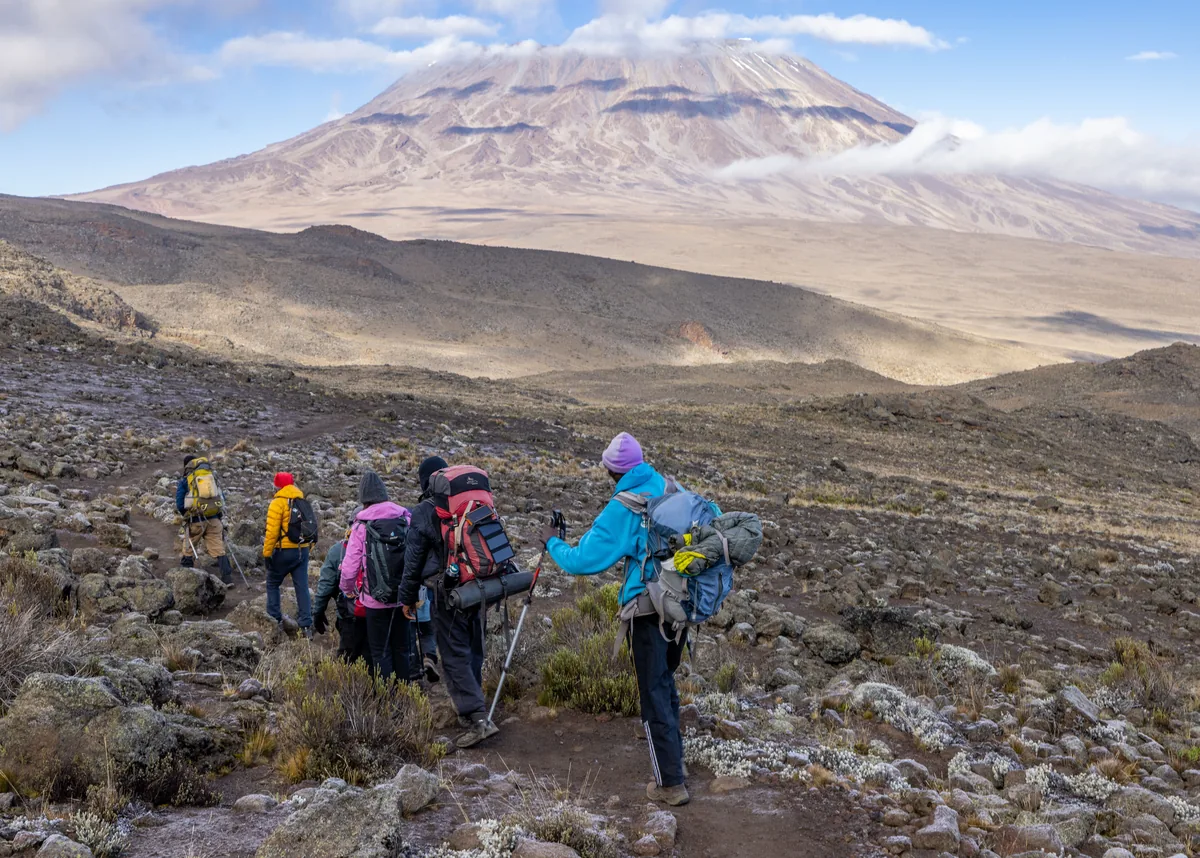 Trekkers on a rocky trail down towards the Saddle, the wide cone of Kibo filling the horizon ahead of them