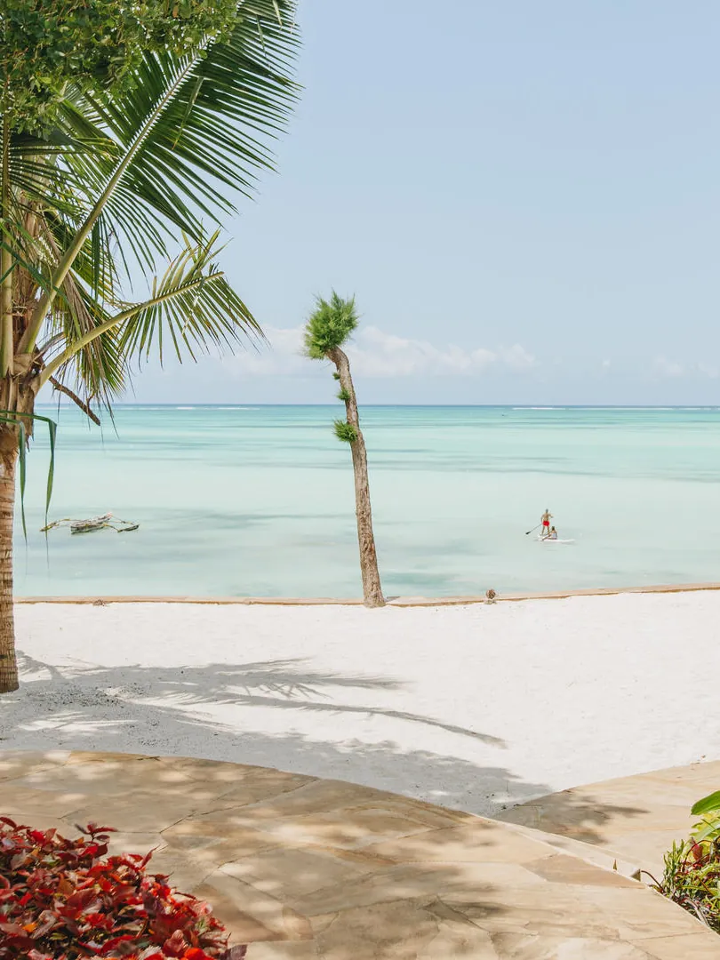 A path between palms opening onto white sand and the turquoise water off Pongwe Beach, Zanzibar, a paddleboarder out on the lagoon